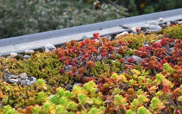 the cost of Washford Pyne green roof installation