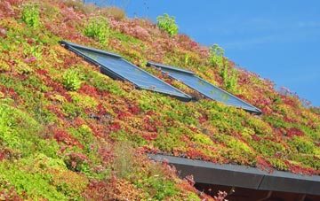 Washford Pyne living roof systems