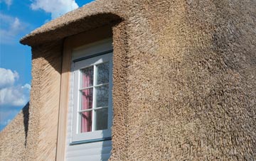 Washford Pyne thatch roof disadvantages
